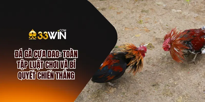 đá gà cựa dao tại 33win