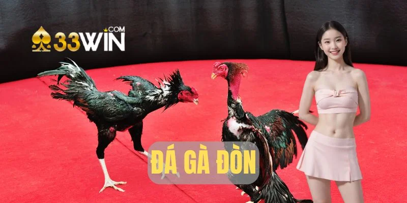đá gà đòn tại33win