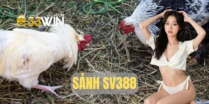 ảnh đại diện sảnh sv388 tại 33win