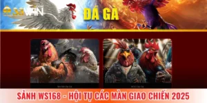 sảnh ws168 ảnh đại diện 33win
